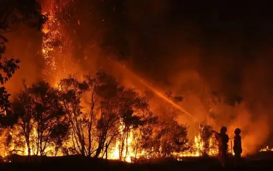 US: 53 Killed So Far As Wildfire Rages In Hawaii