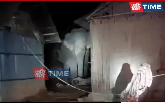 Wild Elephants Wreak Havoc In 3 Villages In Assam's Dhubri
