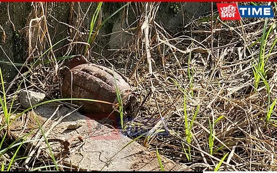 Hand Grenade Recovered at Contractor’s Residence in Assam’s Charaideo