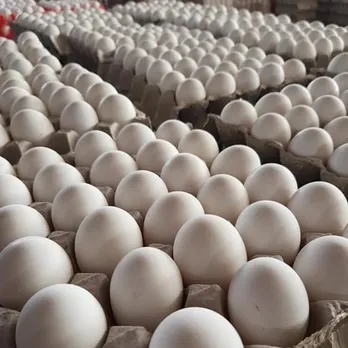 Per Egg Tray Now Costs Rs 200 Instead of 180 in Assam
