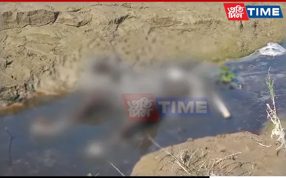 Guwahati: Half-Decomposed Body Of Man Found In Jalukbari
