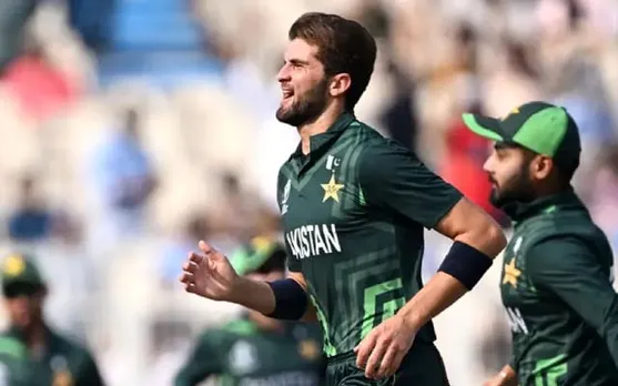 ICC World Cup: Ban Bundled For 204, Pak Have Easy Chase In Hand