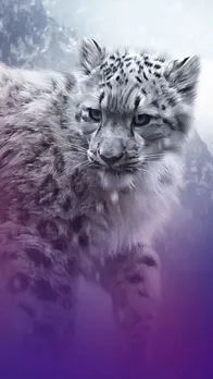 Top 10 Most Beautiful Animals Around The World
