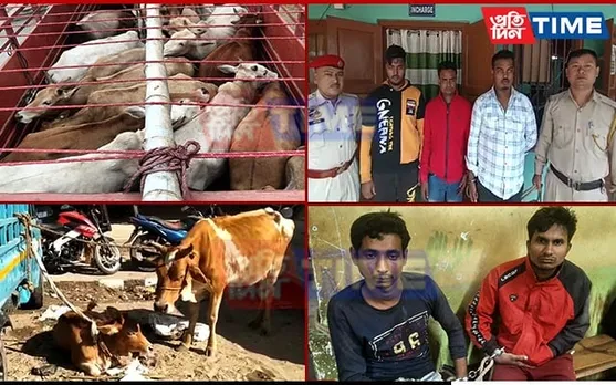 Cattle Smugglers and Thieves Held in Two Separate Ops in Guwahati