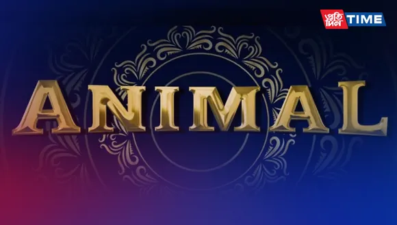 Animal US Release: Get Ready for Ranbir Kapoor's 'Animal' in the US!
