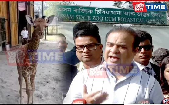 Assam CM Names Baby Giraffe 'Parijat'; Announces Rs 350 Crore Overhaul Of State Zoo
