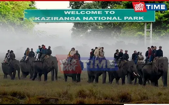 Elephant Safari at Kaziranga National Park Closed Indefinitely from Dec 24