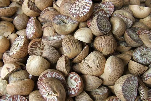 Assam Rifles's Anti-Smuggling Ops Lead To Crores Worth Areca Nuts Seizure