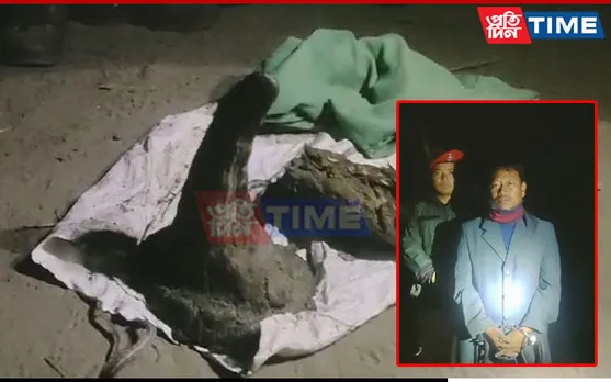 Poacher Arrested, Rhino Horn Recovered in Assam's Golaghat
