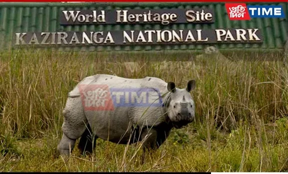 2024's First Poaching Reported At Kaziranga, Rhino Carcass Found