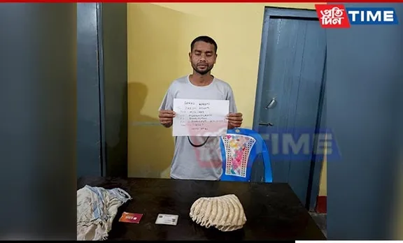 Assam: Poacher Arrested in Tamulpur; 3.731 kg Ivory Seized
