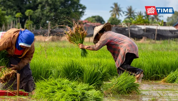PM Kisan Samman Nidhi Yojana: 16th Instalment to Roll Out by Month-End