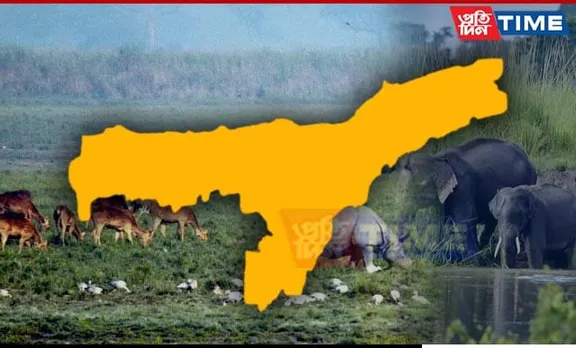 National Board for Wildlife Approves Five Mega Projects for Assam
