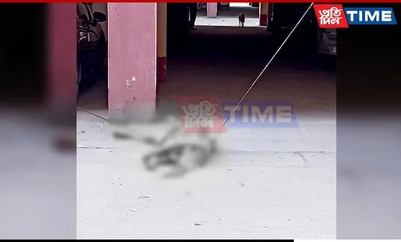 Guwahati: Woman Mysteriously Falls Off Building, Dies