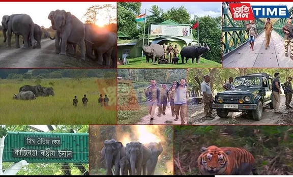 Conserving Wildlife for 50 Years: Kaziranga National Park's Milestone Anniversary
