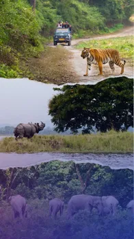 Best wildlife safaris in india