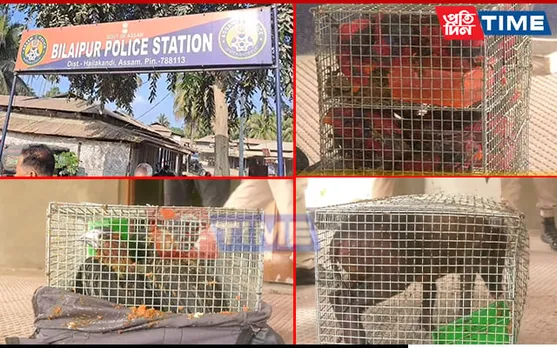 Assam: 52 Indonesian Birds and Animals Rescued from Smuggling; 2 Arrested