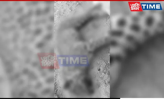 Leopard Attack Leaves Three Injured in Assam's Charaideo