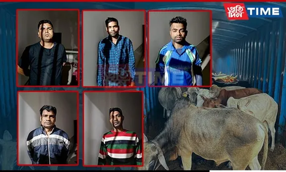 Illegal Cattle Smuggling Busted at Assam-Meghalaya Border; Two Vehicles Seized