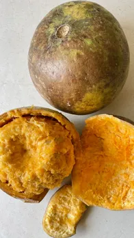 Ayurvedic benefits of wood apples or bilva