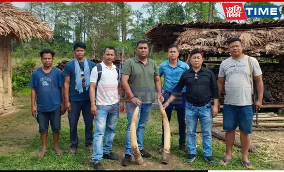 Anti-Poaching Raid Leads To Ivory Tusk Recovery In Assam's Dhemaji