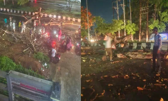 Biker Injured as Giant Tree Collapses in Guwahati’s VIP Road