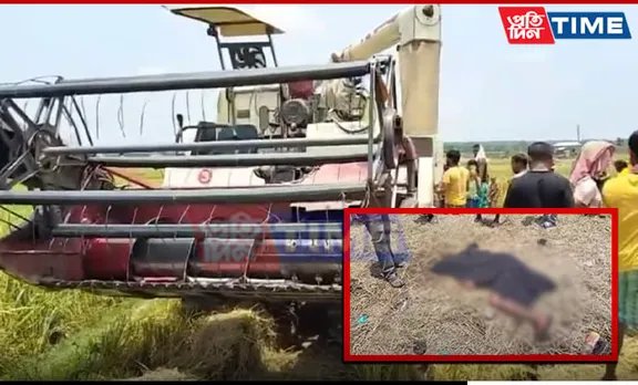 Man Falls into Paddy Cutting Machine in Assam's Dhubri, Dies