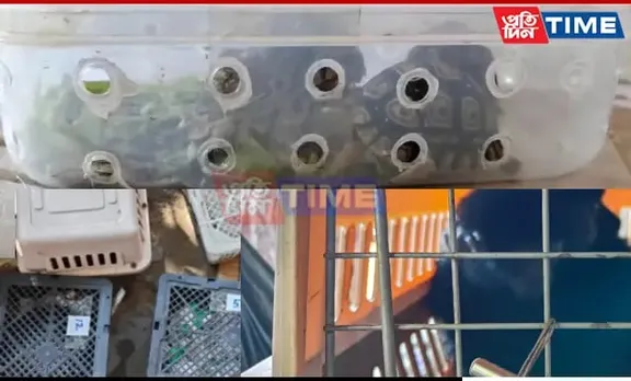Mizoram Police Rescue 24 Exotic Animals, Arrest 2 In Smuggling Bust
