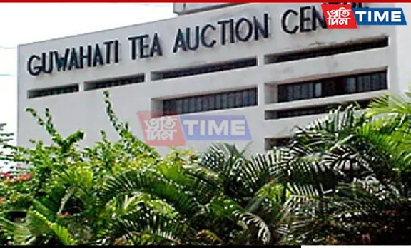 Guwahati Tea Auction Center Breaks Records with High Tea Prices