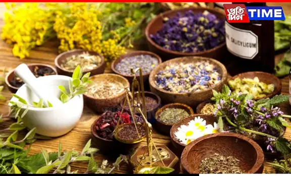 Boost Your Immunity This Monsoon with These 6 Powerful Herbs