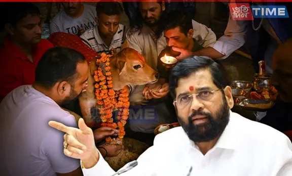 Maharashtra Govt Declares Cow as 'Rajya Mata' Citing Cultural Importance