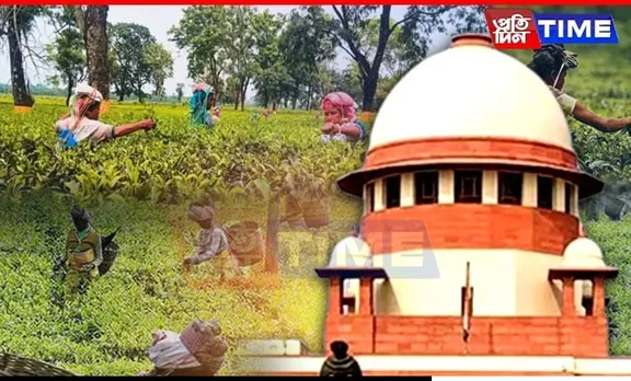 SC Summons Assam Chief Secy Over Unpaid Dues To Tea Workers