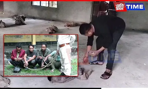 19 Dogs Rescued from Smugglers in Assam's Darrang, 4 Arrested, 6 at Large