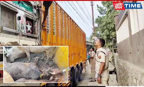 Garchuk Police Seize 10-Wheeler For Illegally Transporting Cattle; 7 Held