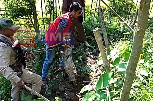 Poachers arrested at Bokakhat, buried rifle recovered