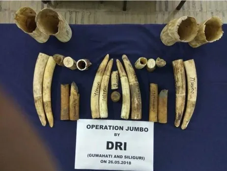 6 kg of ivory recovered at Guwahati Railway Station