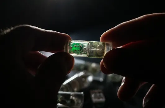 MIT designs ingestible ‘bacteria on a chip’ that can diagnose diseases
