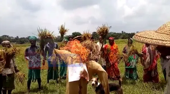 Hajo farmers burn Atul Bora’s effigy over faulty seeds
