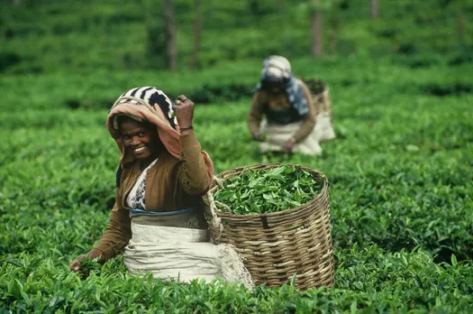 Centre urges Assam to frame holistic export policy