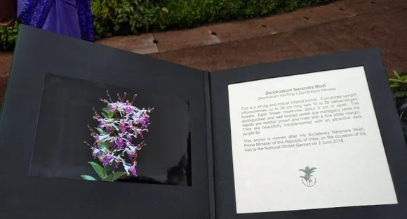 Singapore names orchid after Indian PM Modi to commemorate his visit