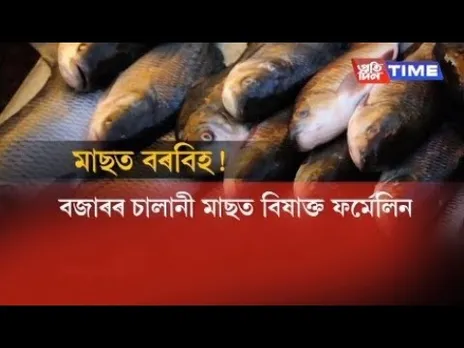 Fish samples detected with Formalin in Guwahati