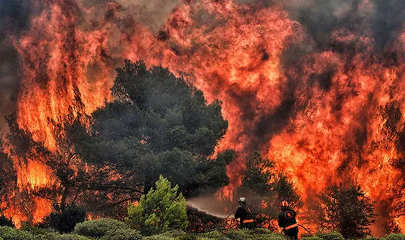 Greece wildfire kills 76, worst in decades