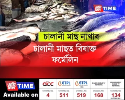 Government bans fish imports pertaining to presence of Formalin