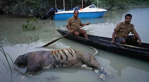 Floods kill 225 animals in Kaziranga National Park