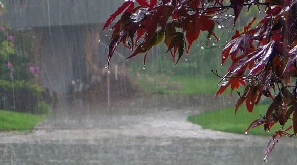 North East gets less monsoon rainfall