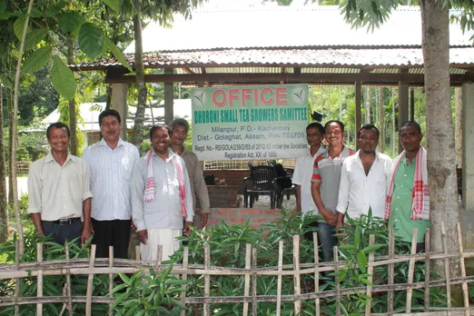  Small tea Growers dying in Assam