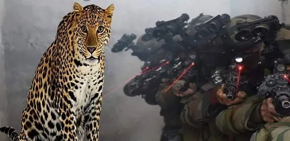 Army used Leopard’s urine in Surgical Strike