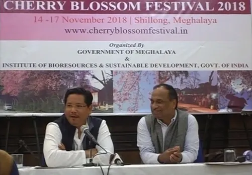 Cherry Blossom Festival plans at Shillong