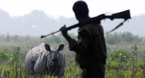 Rhino poacher held in Behali