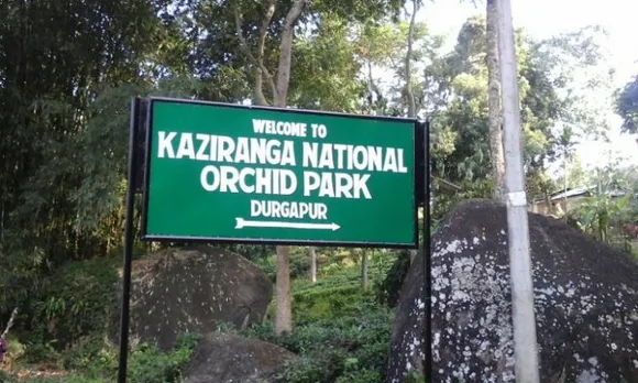 Bamboo park, Nursery, Museum launch at Kaziranga